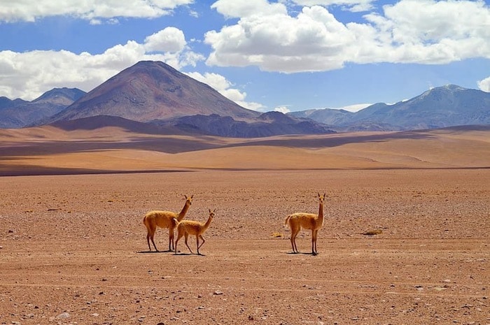 Desierto de Atacama
