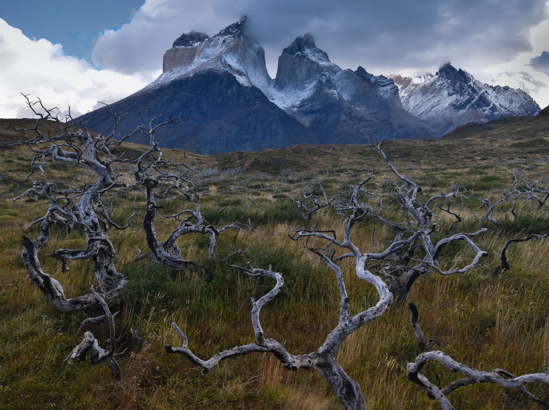 Torres del Paine