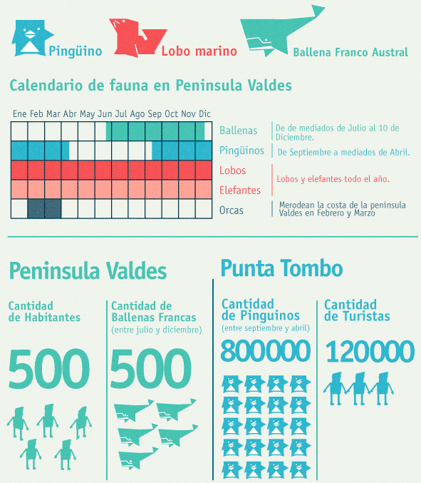 Temporada pingüinos Punta Tombo