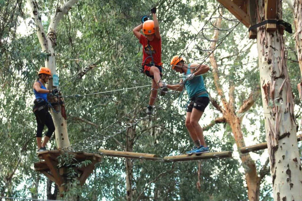 10. Cursos de cuerdas, recorridos en canopy y tirolesa