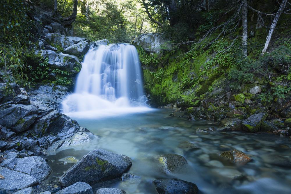 10. Cursos de cuerdas, recorridos en canopy y tirolesa