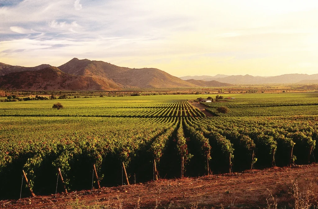 Weinregionen