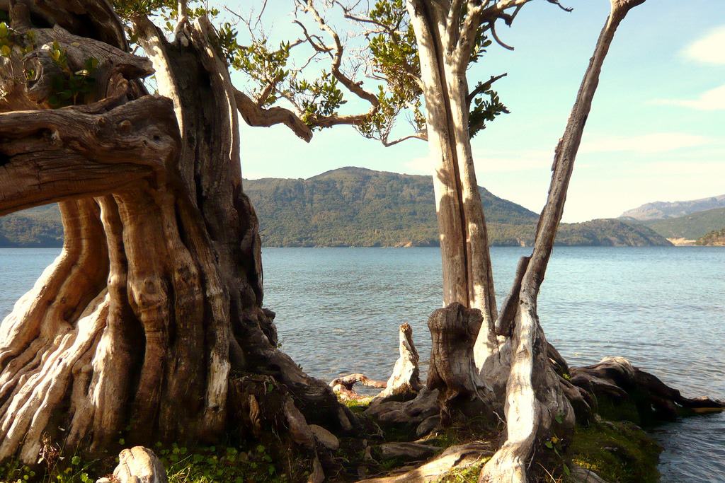15. Visitar el pueblo y la playa de Quila Quina