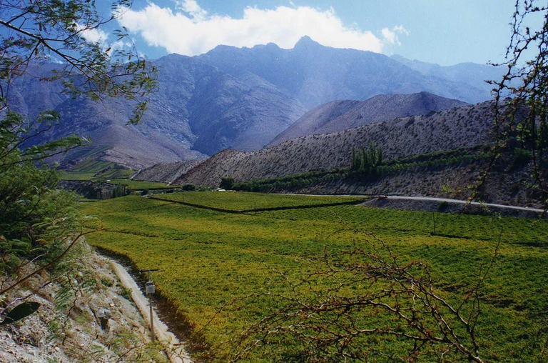 Elqui-Tal