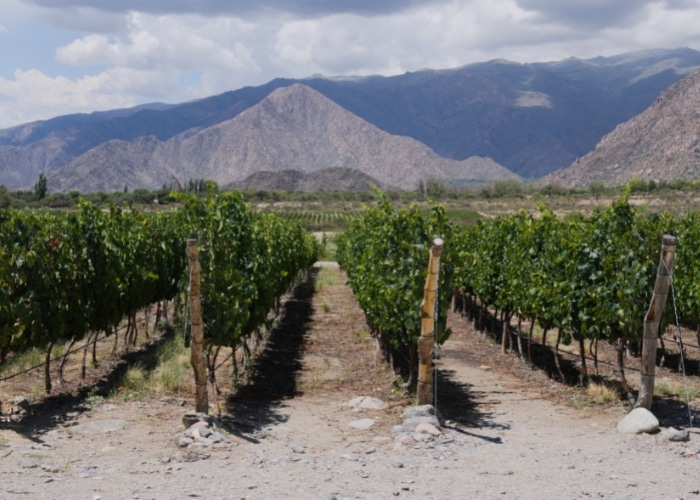 3. Las Leñas