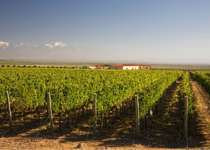 3. Serranía del Hornocal