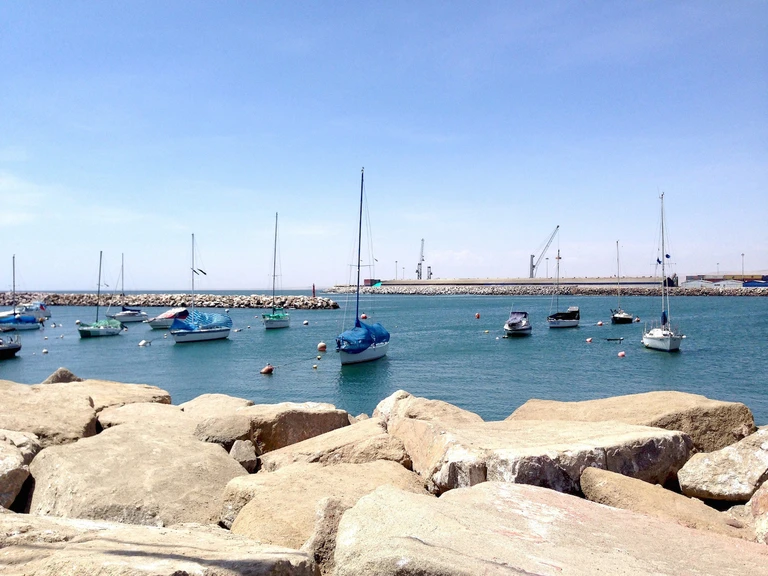 Arica