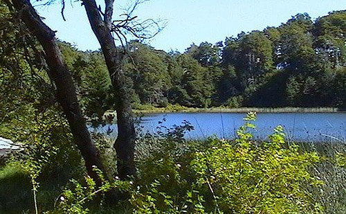 15 mejores cosas que hacer en Villa La Angostura (Argentina)