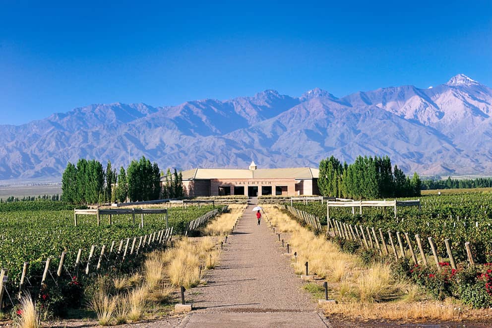 0. Visitar grandes bodegas