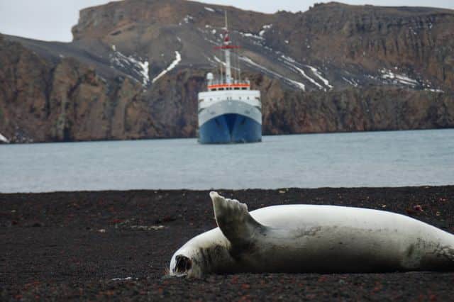 Kreuzfahrt Ushuaia Antarktis
