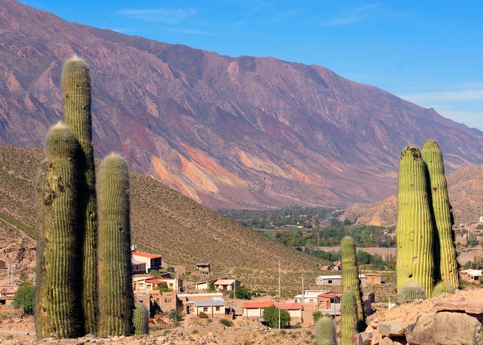 Explore the north of Argentina</p>
<p>