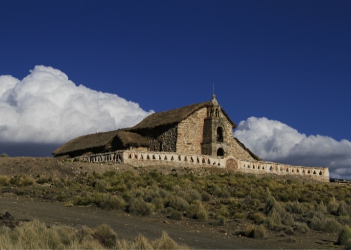 Parque Pumalín