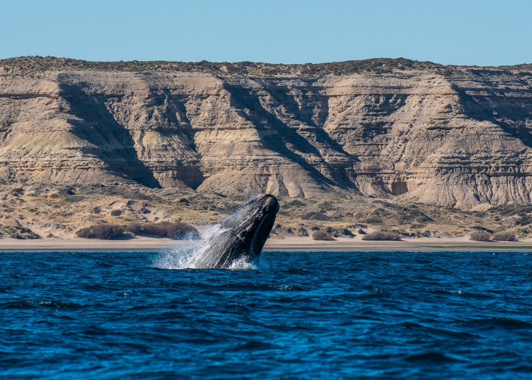 Patagonia — foto 2