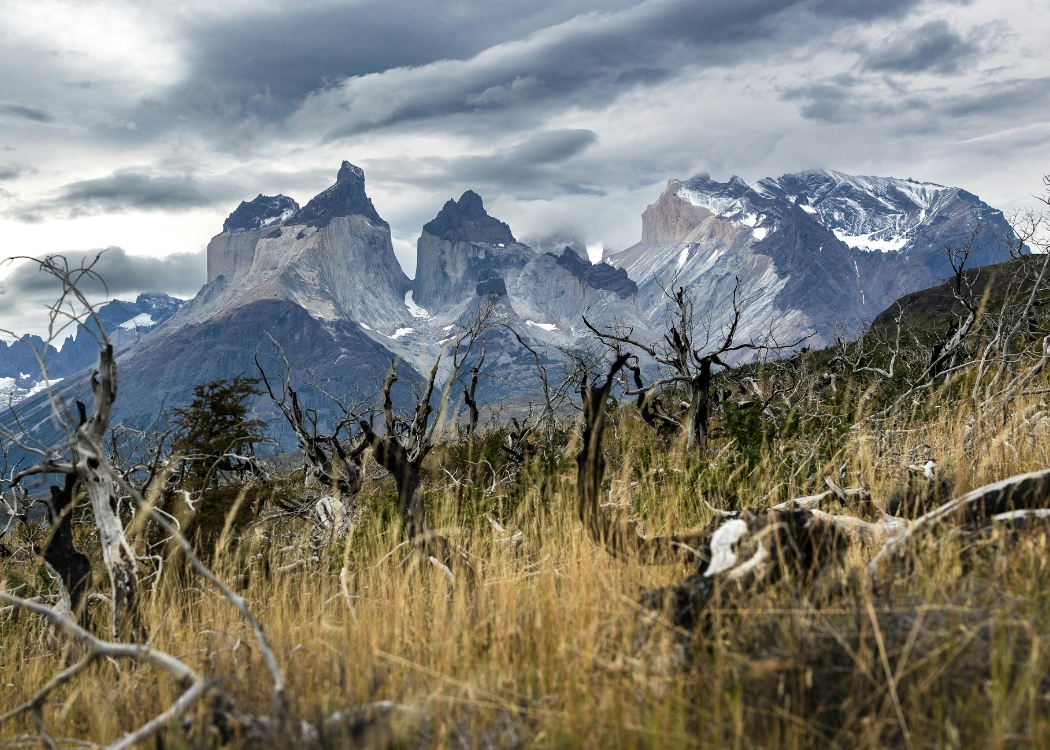 Patagonia — foto 6