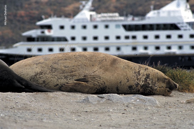 Crucero Australis (de Ushuaia a Punta Arenas)