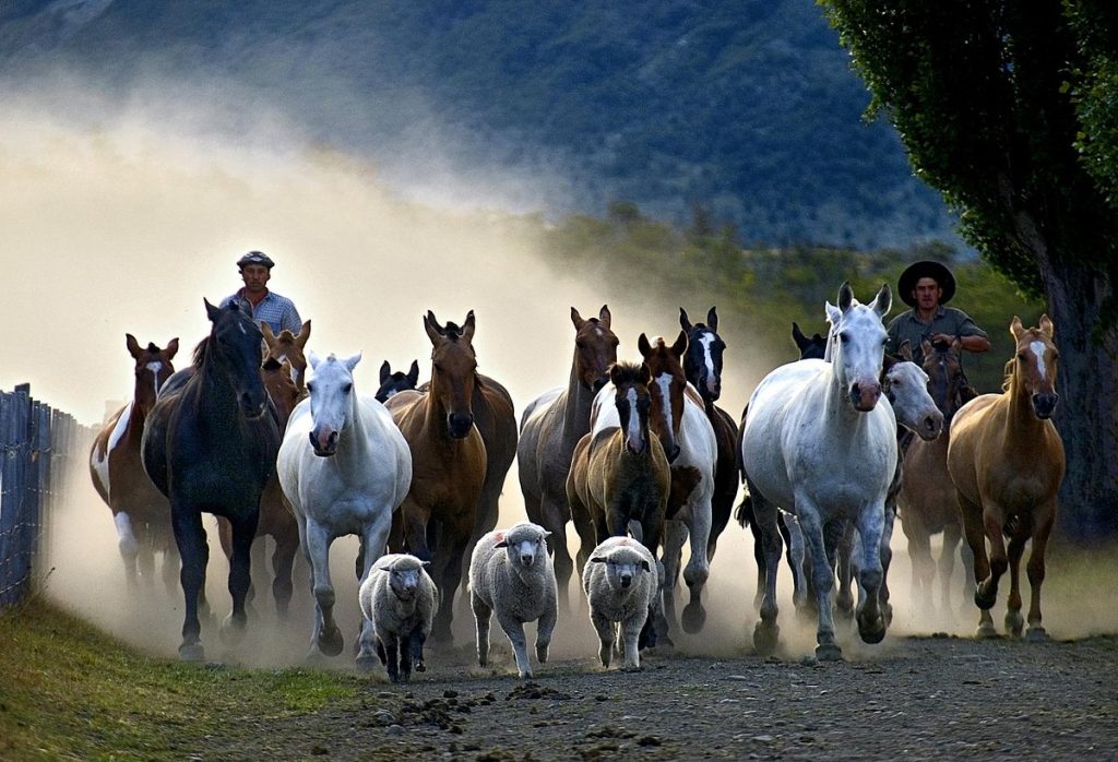 actividades en la estancia nibepo aike