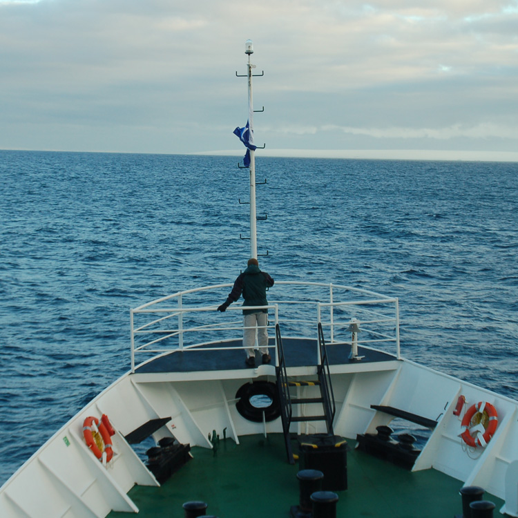 Cruise to Antarctica (Antarpply)