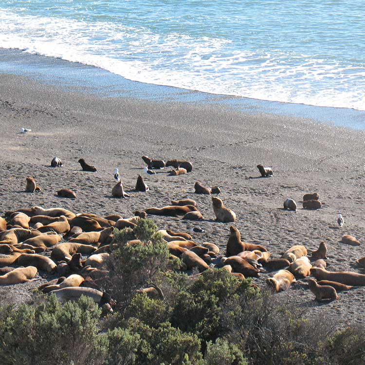 Trip to Route 40 Patagonia