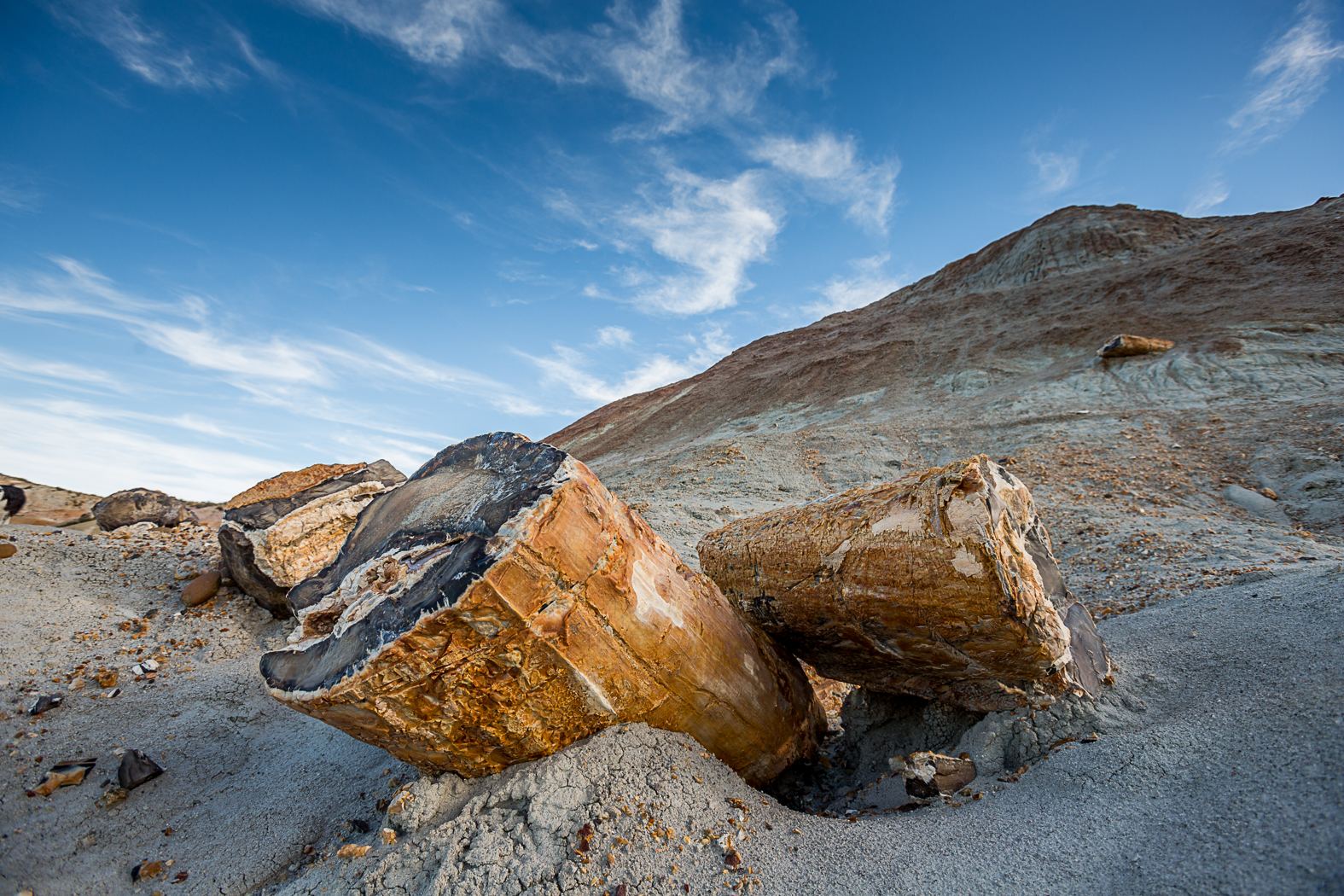 Paquete de viaje Bosque petrificado y Cueva de las Manos