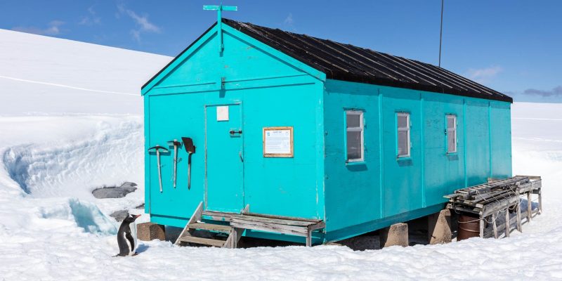 Crucero a la Antartida (Hurtigruten)