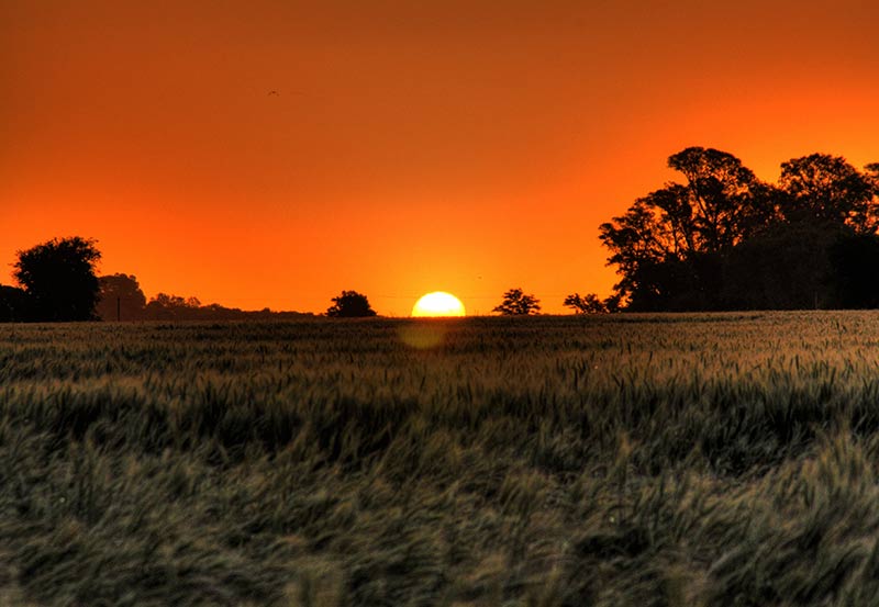 Día de campo en estancia El Ombú de Areco
