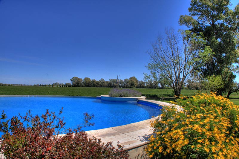 Día de campo en estancia El Ombú de Areco