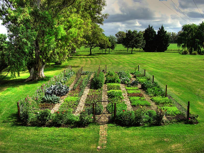 Día de campo en estancia El Ombú de Areco