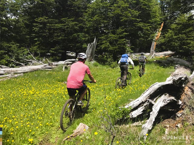 Los Huemules Reserva de Montaña