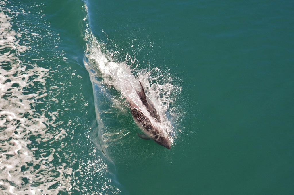 Skorpios III - Ruta KAWESKAR