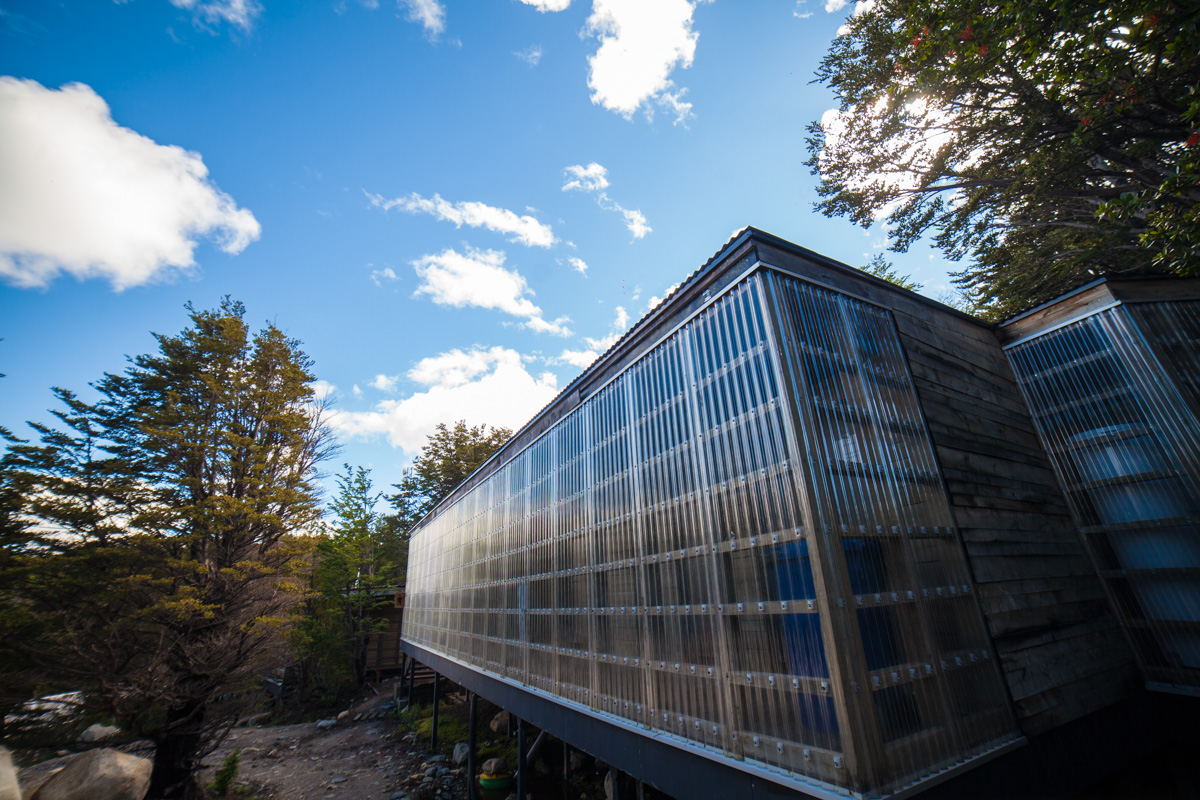 Circuito W Express: Trekking en Torres del Paine