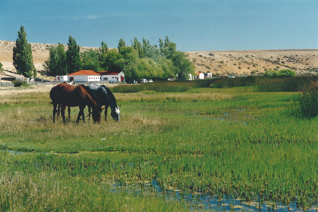 Estancia La Angostura en Santa Cruz