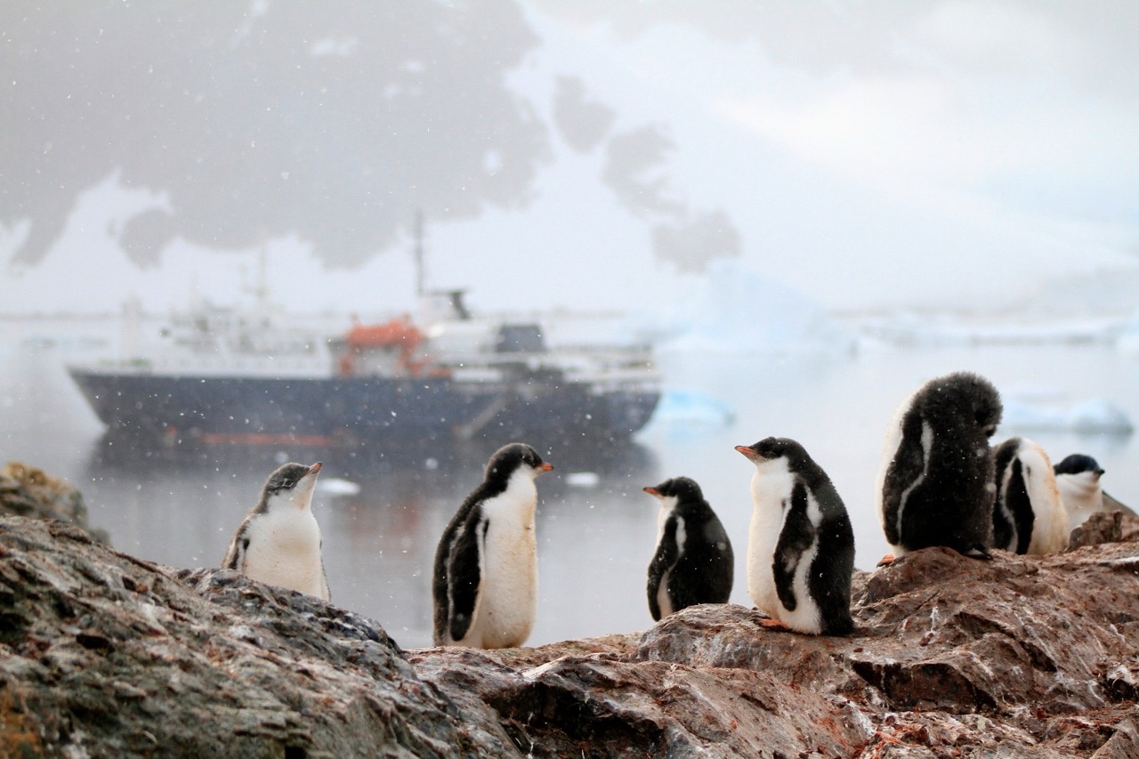 Crucero Circulo Polar Antartico