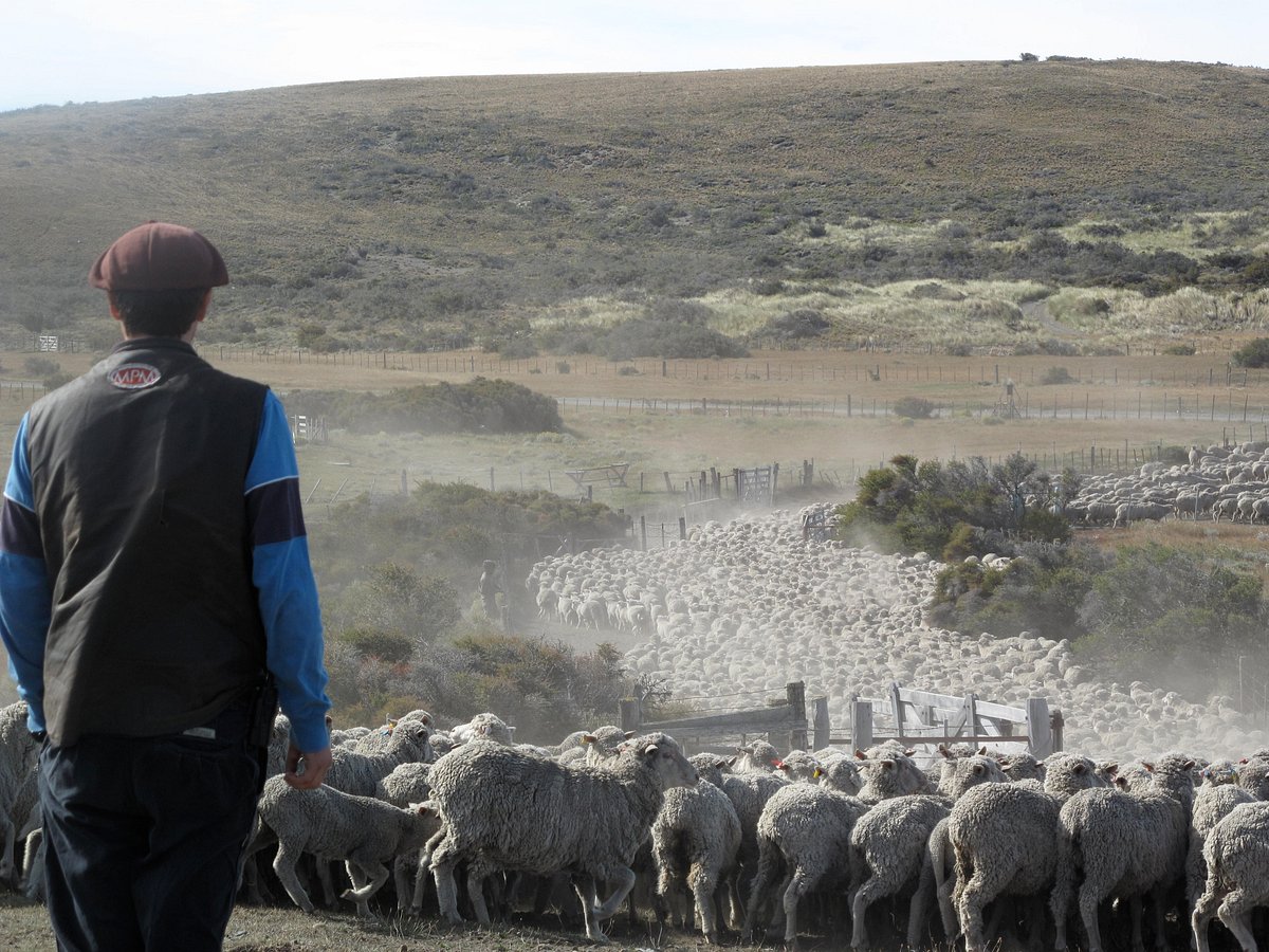 Estancia Monte Dinero