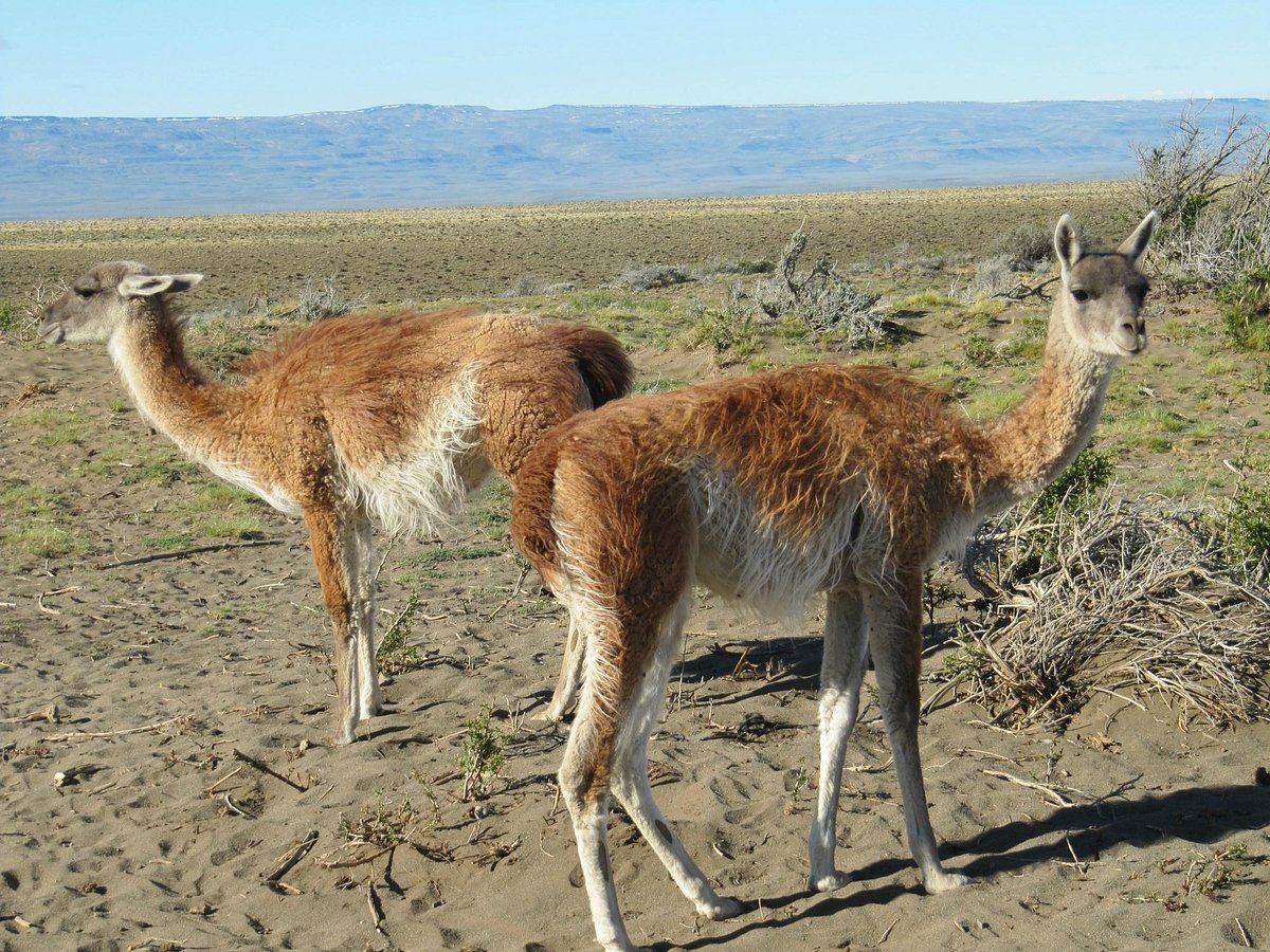 Estancia La Estela en Santa Cruz
