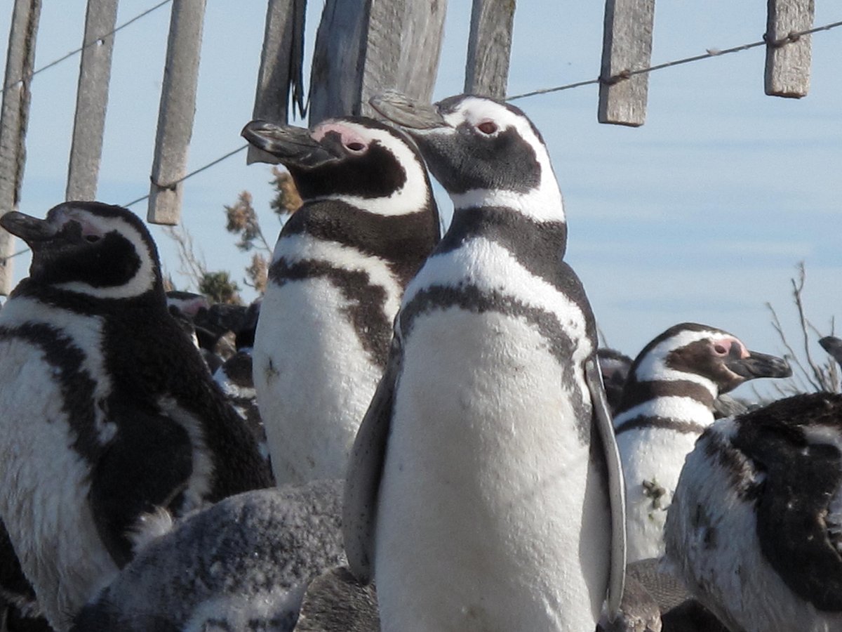 Estancia Monte Dinero