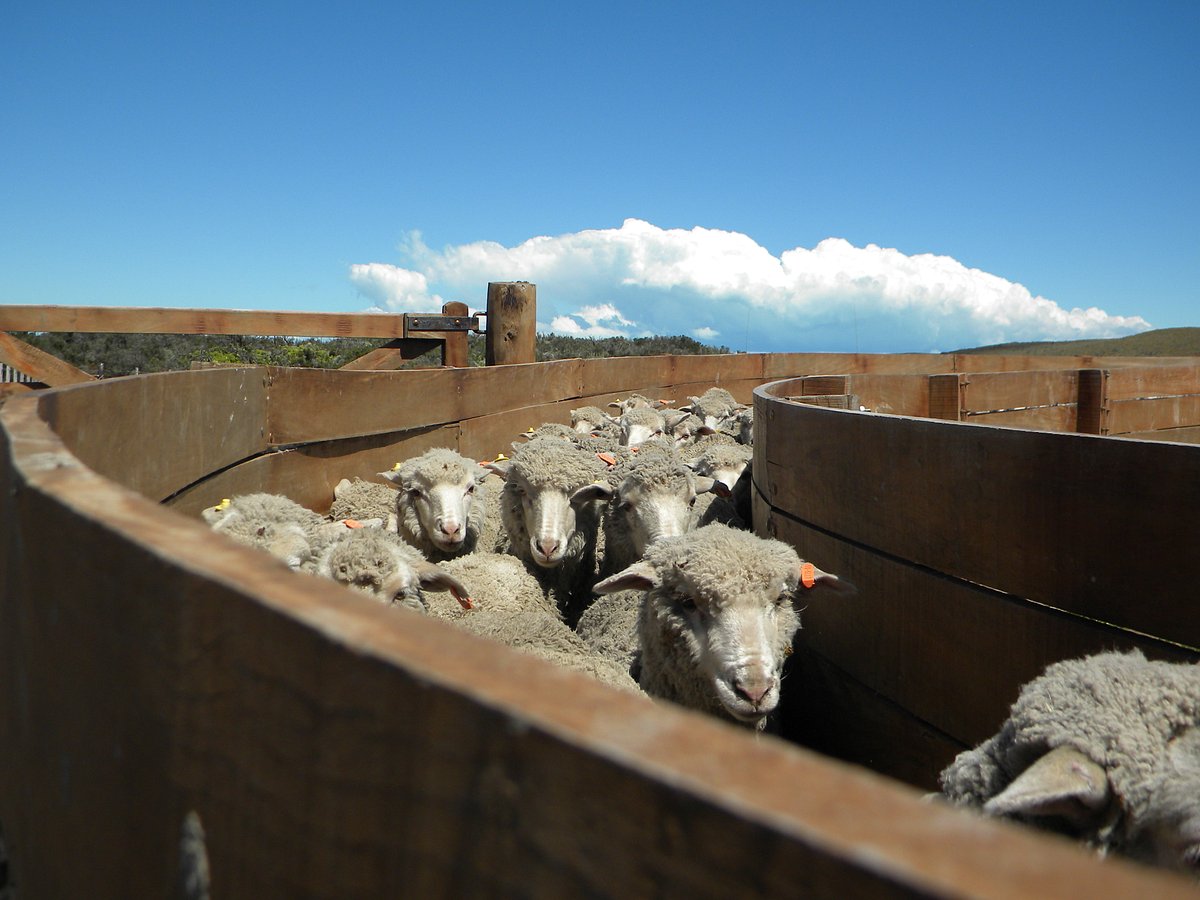 Estancia Monte Dinero