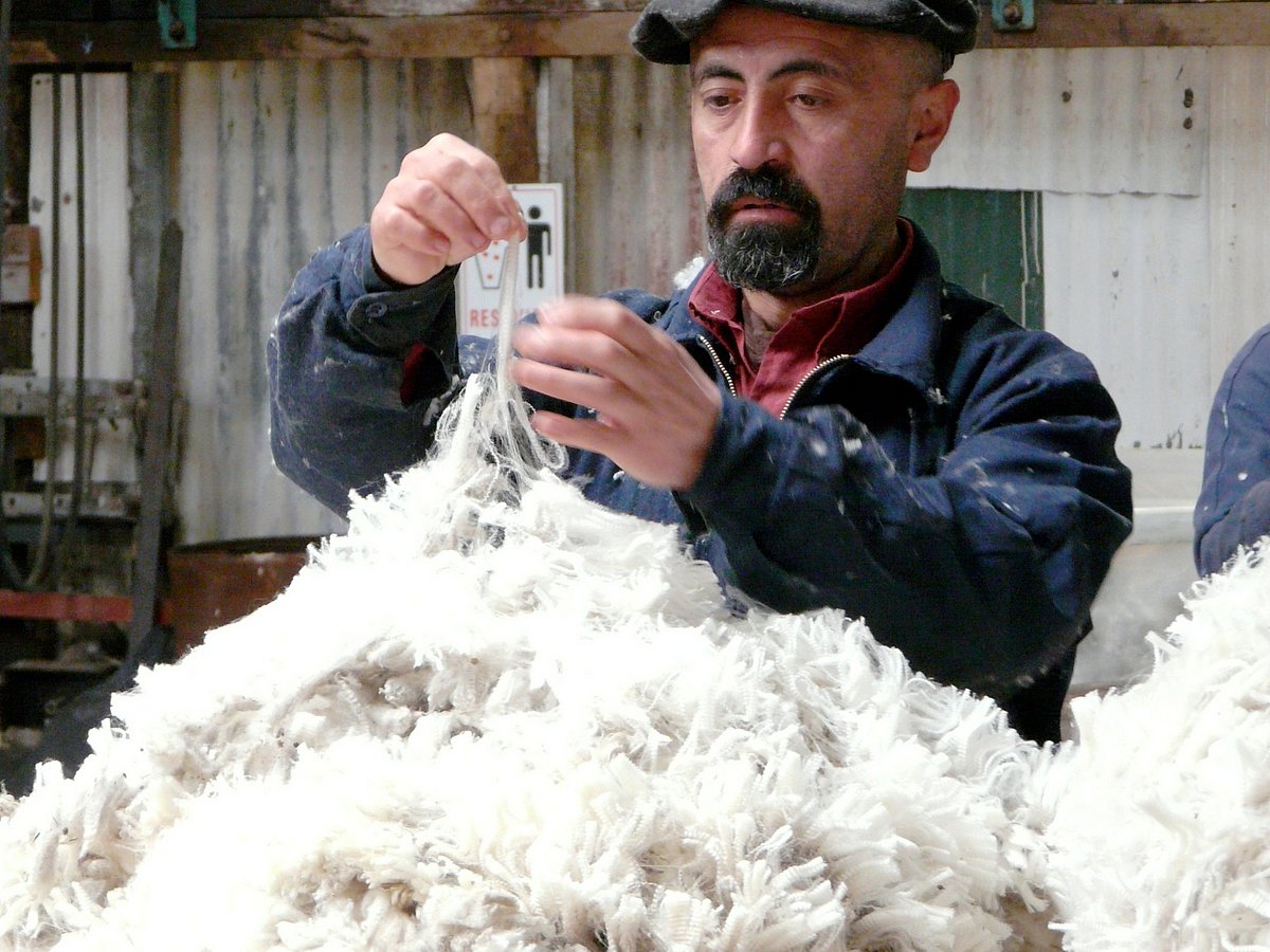 Estancia Monte Dinero