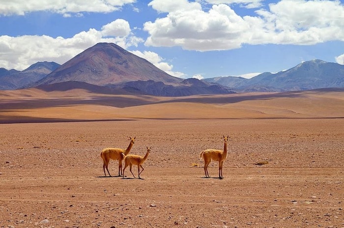 Il deserto di Atacama in Cile