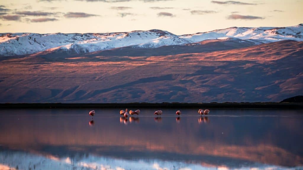 lago argentino el calafate Qué excursiones se pueden hacer en el Calafate en el 2022