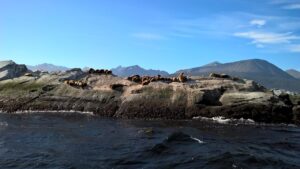 hoteles con pileta y spa en Ushuaia