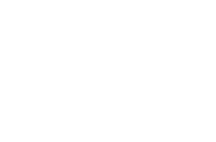 Logo altair magazineblanco 02 02 Ich organisiere deine Reise nach Patagonien