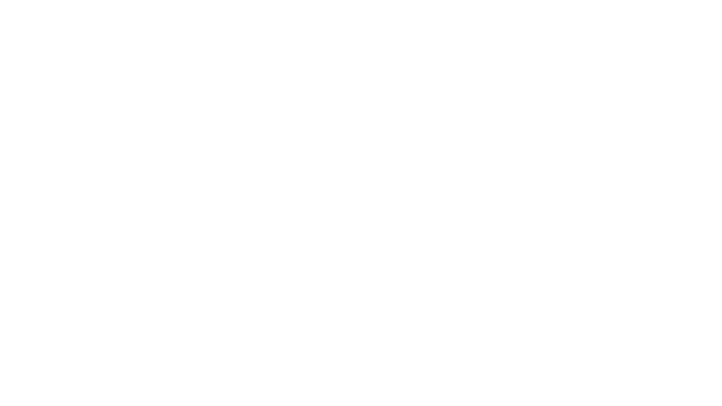 Lonely Planet logo I organize your trip to Patagonia
