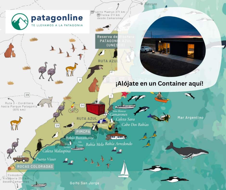 Container Patagonia