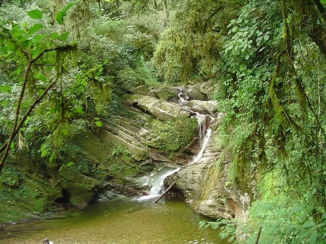 The Noque River Waterfall